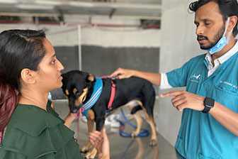 Instagram post showcasing pet care